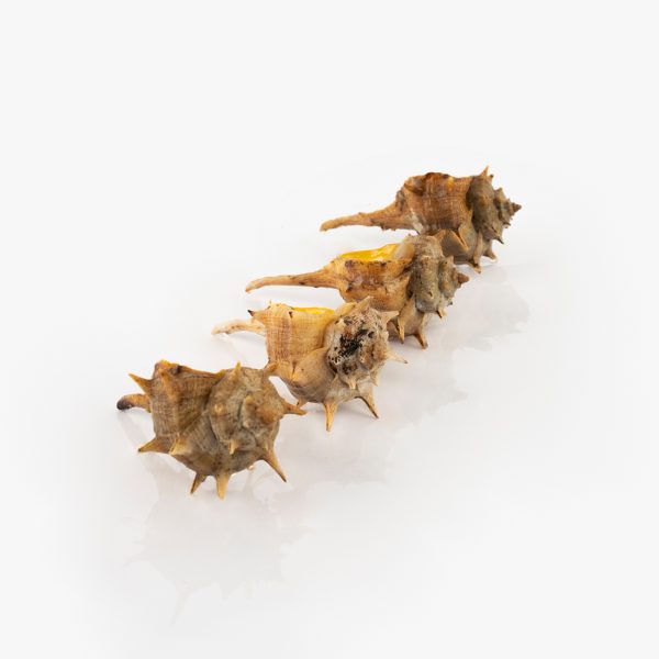Cañailla