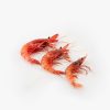 Gamba