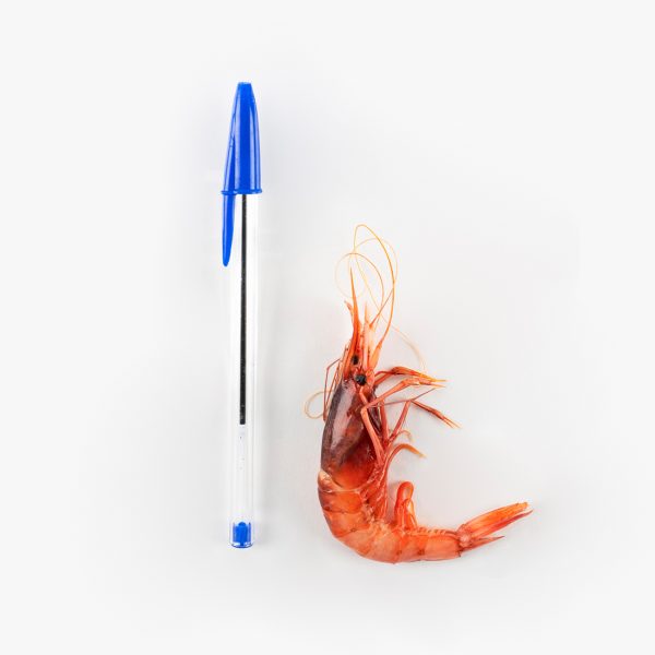 Gamba petita